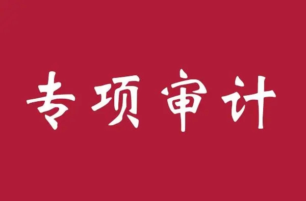 一起来看看哪些是泉州高新专项审计报告的目的？